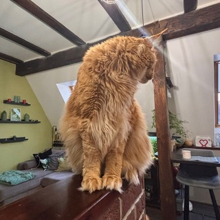 Бᴇᴩᴧоᴦᴀ Пᴀᴛᴩиᴋᴀ 🧟‍♂