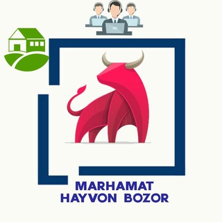 Marhamat Hayvon bozor | Расмий канал |