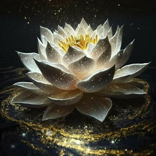 Магия жизни