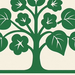 Pavloniya.uz (павлония)