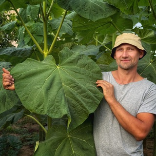 Андрей Волков | Павловния | АНО"Лес"