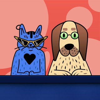 Лапы на стол | Канал про домашних питомцев