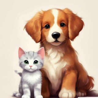 Домашние Любимцы