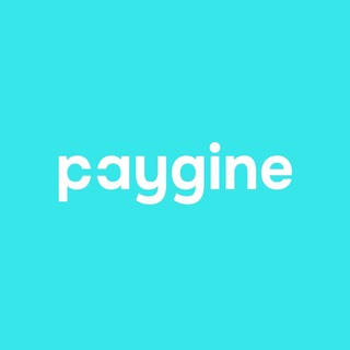 Paygine: финтех для бизнеса и людей