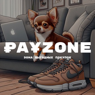 PayZone | доставка из Китая