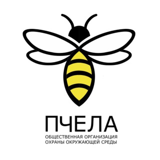 ПЧЕЛА