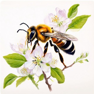 Пчела на даче