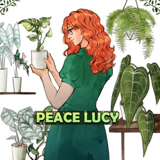 🌿 Peace Lucy 🌿