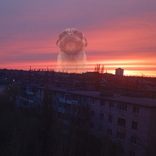 Pechenka134
