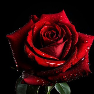 В Уфе пеггинг