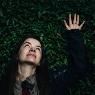 Пенсаме́нтуш Грузия