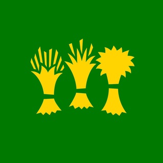 Кстати, Пенза