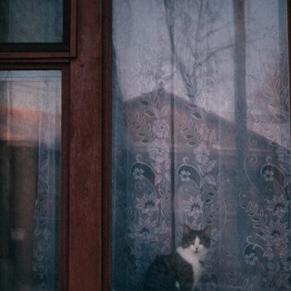 здесь живут люди