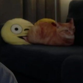 левая сися мамонта