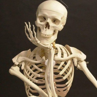 • perfect лаоши | бэйланд •