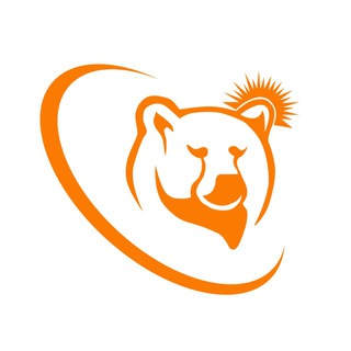 Студотряды Пермского края тут