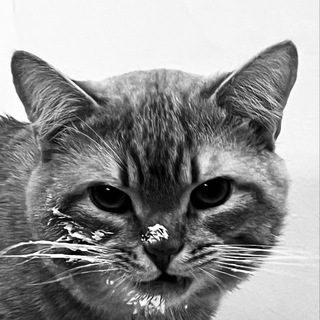 Персиковый рай😇