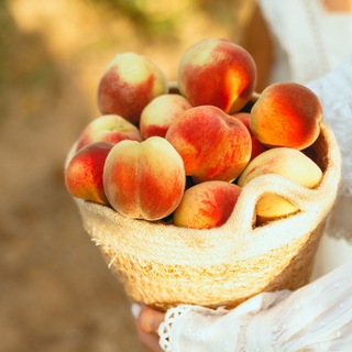 ПЕРСИКОВАЯ ДОЛИНА