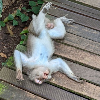 Застрял в ЮВА