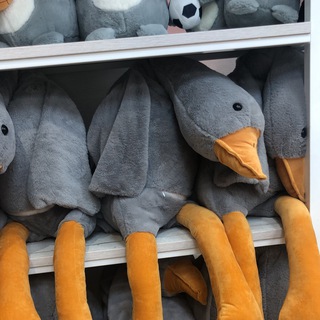 ПЕРВОКУРСНИКУ | ДГМУ🥼🩵