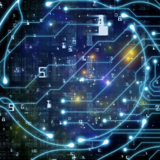 Первый Московский Сливы