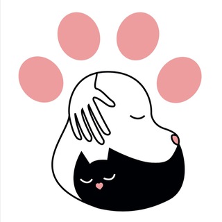 «Верный друг» - приют для бездомных животных