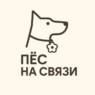 Пёс на связи📞
