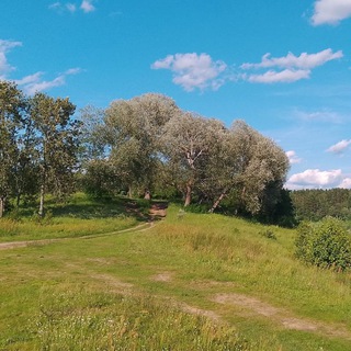 Пестовская глухомань