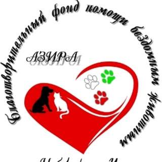 Приют Азира для бездомных животных Набережные Челны