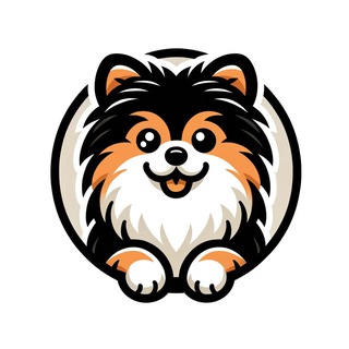 Pet in travel | Путешествия, переезд с питомцем | Европа, Таиланд, Вьетнам, Турция, Грузия, США