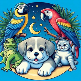 Мир Питомцев🐾