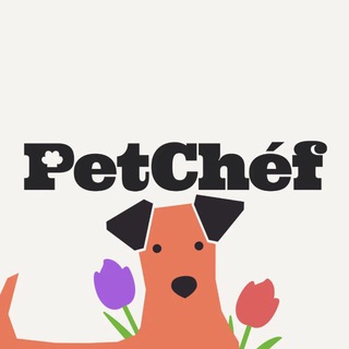 PetChef — натуральное питание для собак