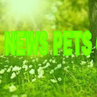 Новости пет гоу⁉️