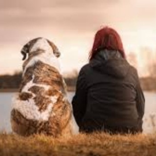 Детки-зверики