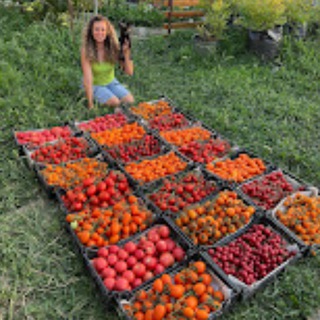 PETROVCHANKA LERA - LIVE