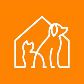 Животные города_В