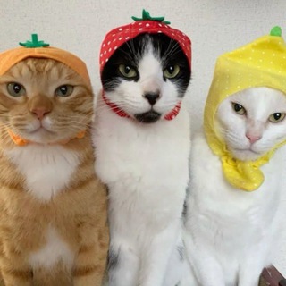 Подгорная проповедь