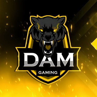 DAM GAMING 2.0