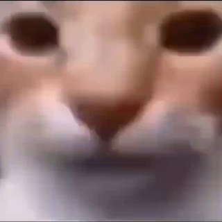 Фоны и видео для мемов