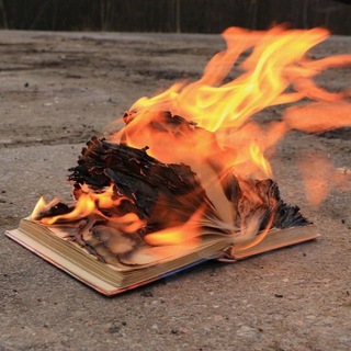 Фотокнижный червь