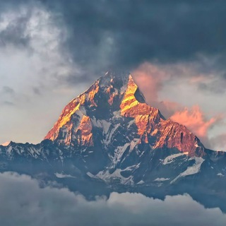 ФОТО Бродяга