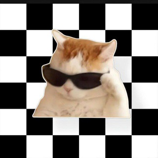 картинки для тик тока