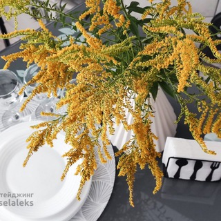 Интерьерная фотография