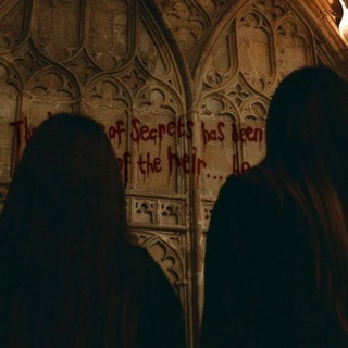 пиар ролок по гп