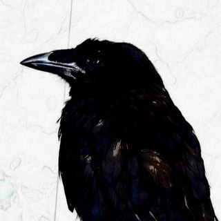 ПИЧУГИНЫ НАДЕЖДЫ🕊