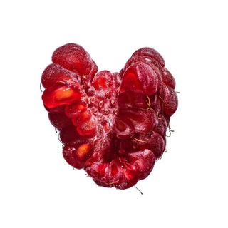 Пикчи, мемы, интеллект