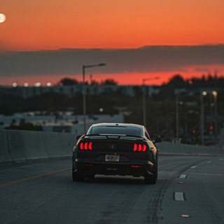 Picture Perfect Daily 📸✨