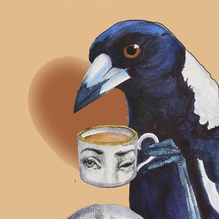 Культурная сорока