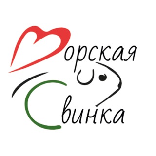 ✨Морские Свинки✨