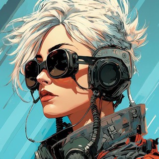 Записки пилота Ру